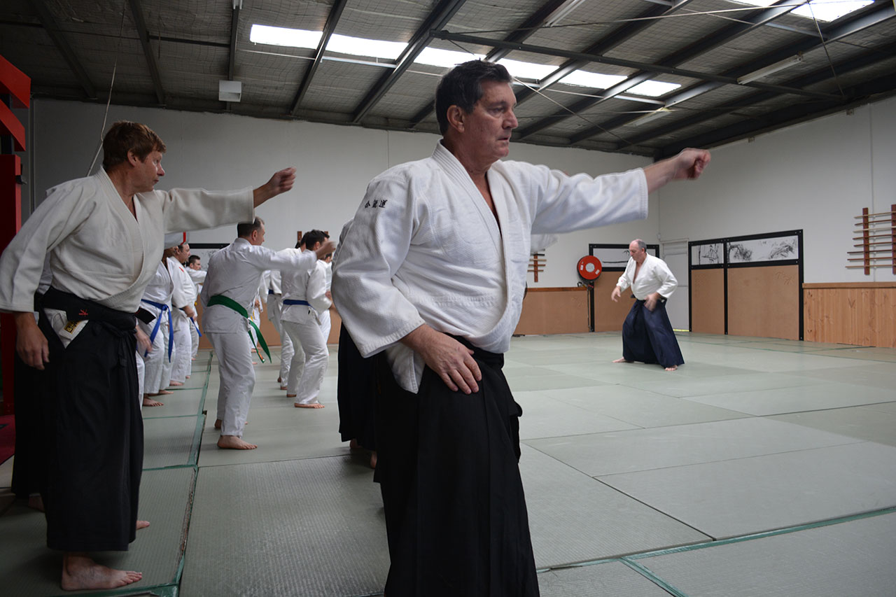 kifusion_Training_warmupPunch https://dev.kifusionaikido.com/wp-content/uploads/2014/09/kifusion_Training_warmupPunch.jpg